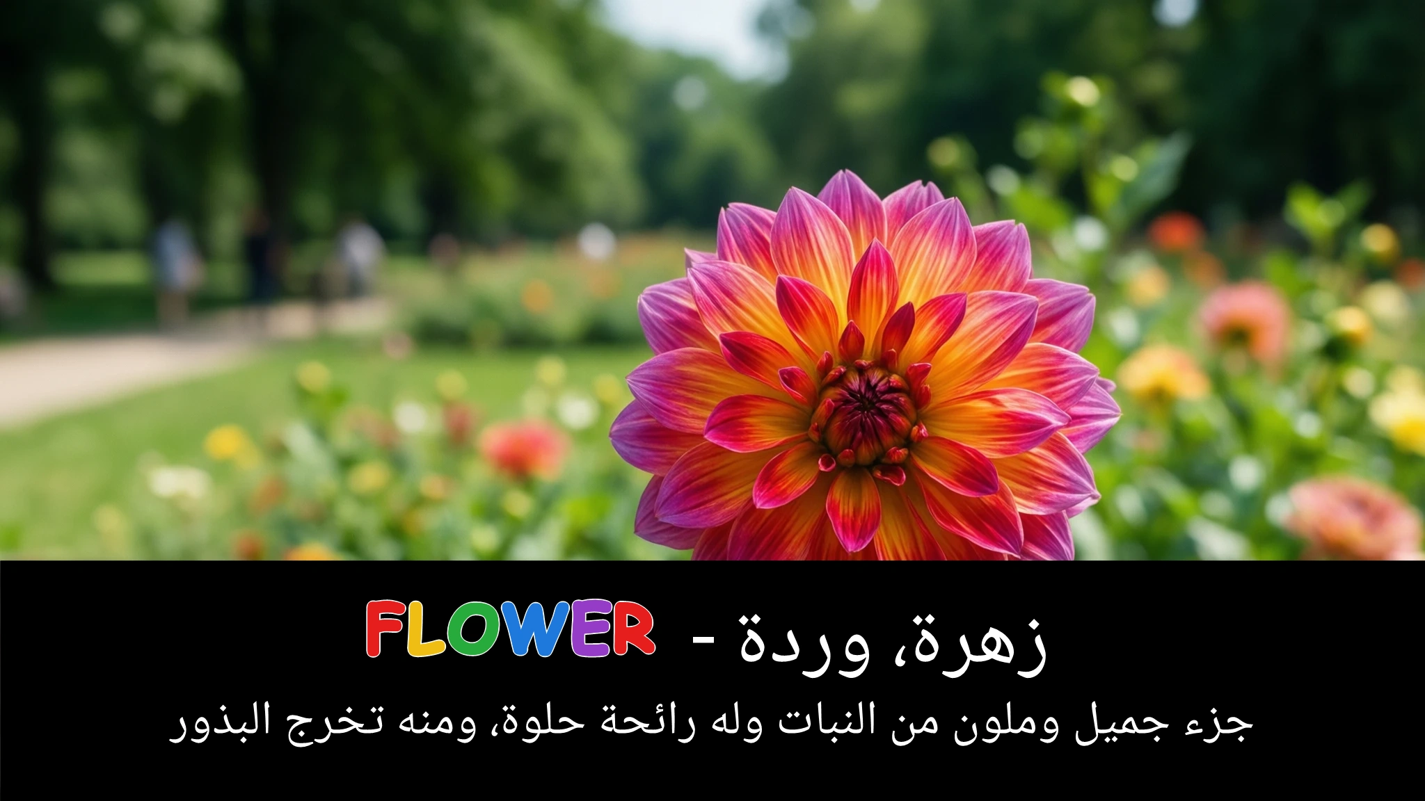 Arabic Illustration for flower